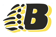 Burns Lake Minor Hockey